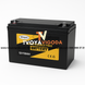 Гелевий акумулятор Wimpex WX 12V 150 Ah з герметичним корпусом і низьким саморазрядом WX50MF12V фото 1
