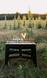 Кемпинговый стол Tribe Camp Table Low 70&times;44 см Black 000506 фото 5